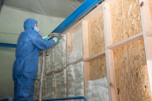 Best Attic Insulation Installation  in Queen City, TX